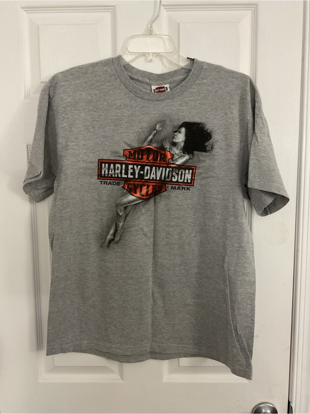 Harley-Davidson Men’s Vintage Grey Pinup Graphic Logo Tee